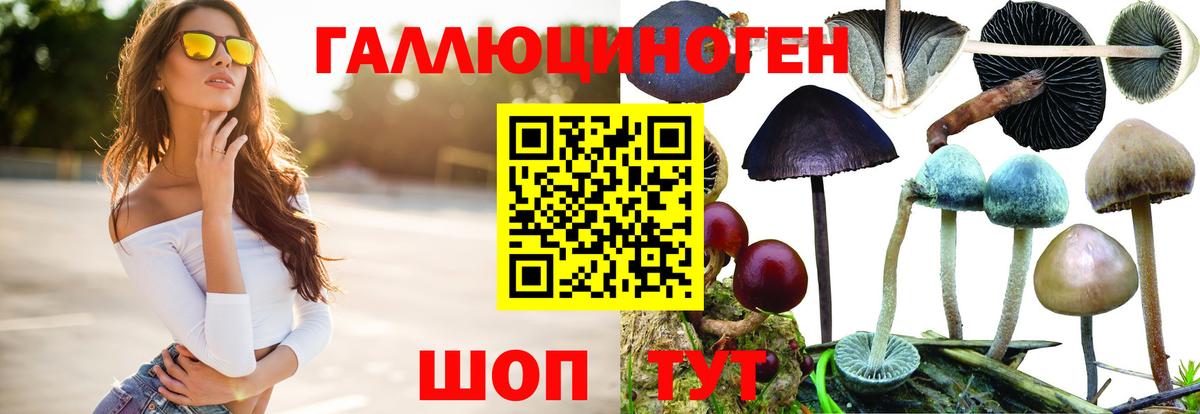 Галлюциногенные грибы MAGIC MUSHROOMS Буйнакск